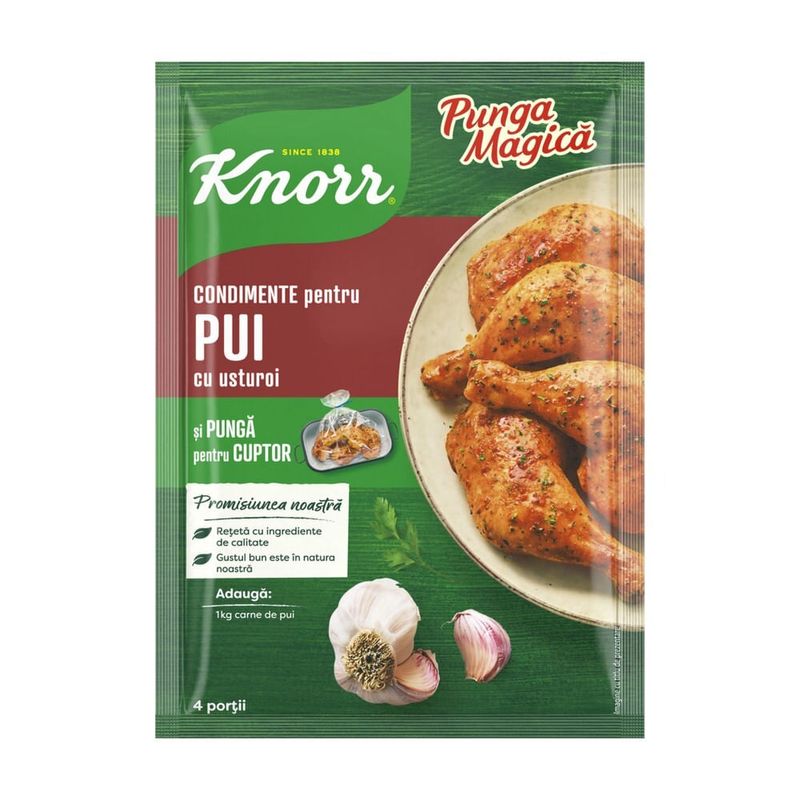 Mix Knorr friptura pui cu usturoi 28 g