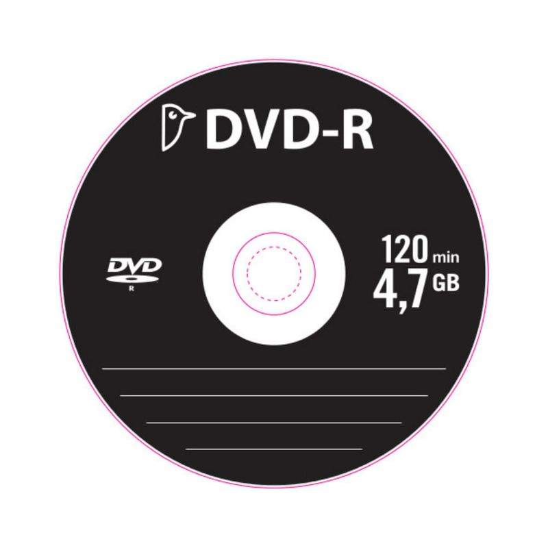 DVD Blank 4.7GB cu plic Pouce